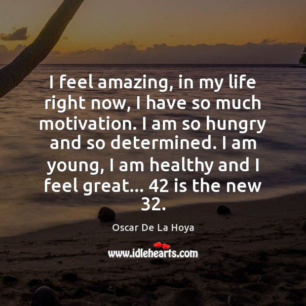 I feel amazing, in my life right now, I have so much Oscar De La Hoya Picture Quote
