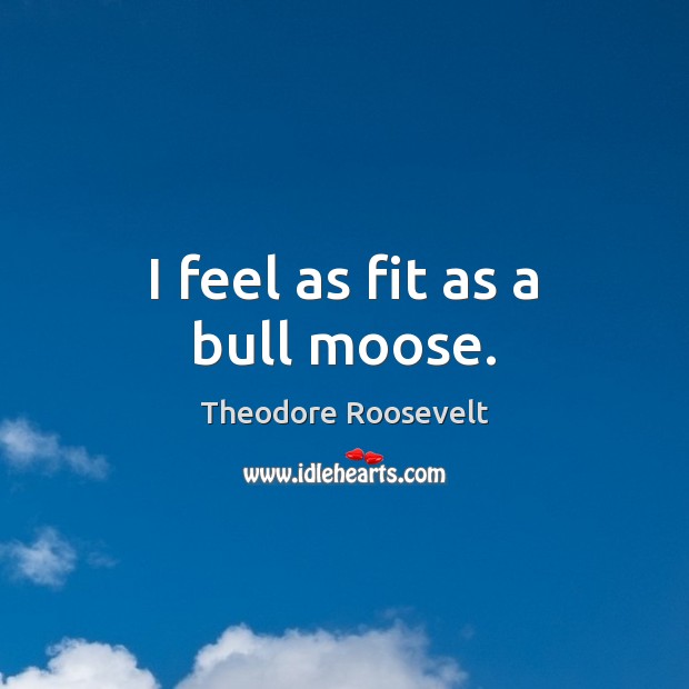 I feel as fit as a bull moose. Image