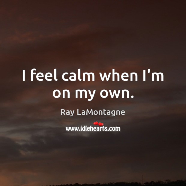 I feel calm when I’m on my own. Ray LaMontagne Picture Quote