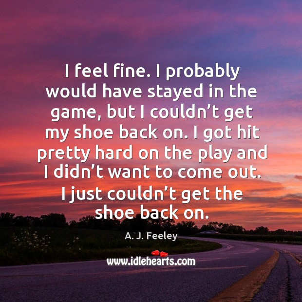 I feel fine. I probably would have stayed in the game A. J. Feeley Picture Quote
