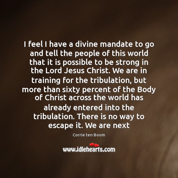 I feel I have a divine mandate to go and tell the Be Strong Quotes Image