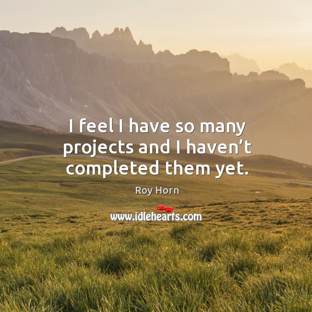 I feel I have so many projects and I haven’t completed them yet. Roy Horn Picture Quote