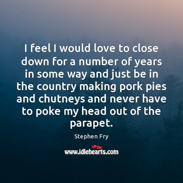 I feel I would love to close down for a number of Stephen Fry Picture Quote