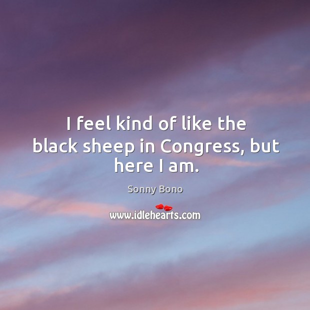 I feel kind of like the black sheep in congress, but here I am. Sonny Bono Picture Quote