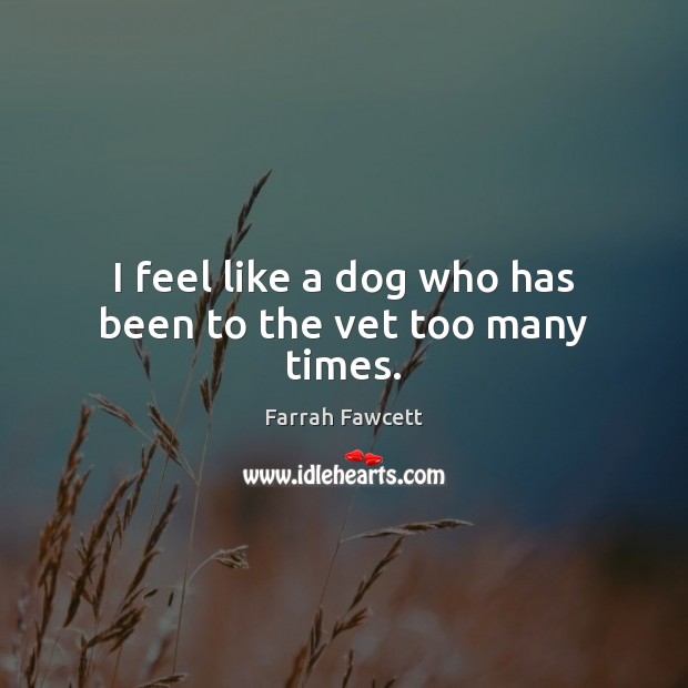 I feel like a dog who has been to the vet too many times. Farrah Fawcett Picture Quote