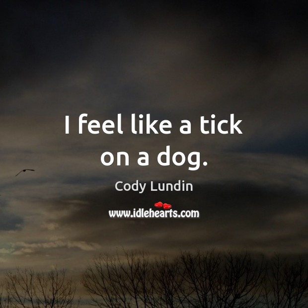 I feel like a tick on a dog. Cody Lundin Picture Quote