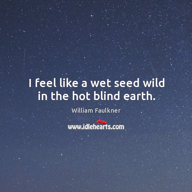 I feel like a wet seed wild in the hot blind earth. William Faulkner Picture Quote