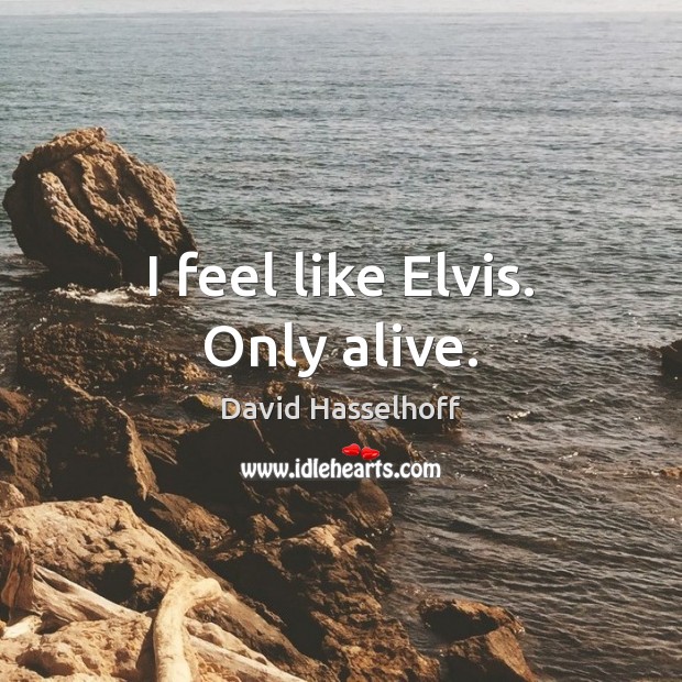 I feel like Elvis. Only alive. David Hasselhoff Picture Quote