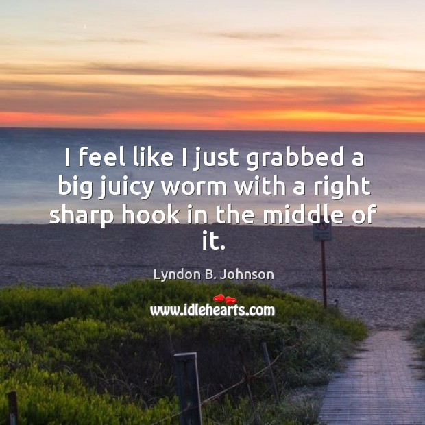 I feel like I just grabbed a big juicy worm with a right sharp hook in the middle of it. Lyndon B. Johnson Picture Quote
