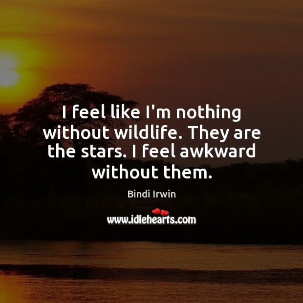 I feel like I’m nothing without wildlife. They are the stars. I feel awkward without them. Bindi Irwin Picture Quote