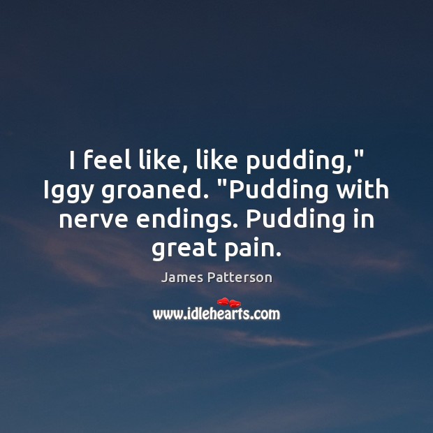 I feel like, like pudding,” Iggy groaned. “Pudding with nerve endings. Pudding James Patterson Picture Quote