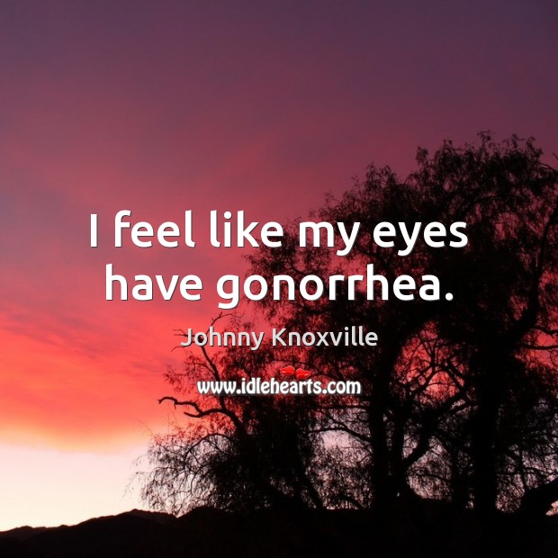 I feel like my eyes have gonorrhea. Johnny Knoxville Picture Quote