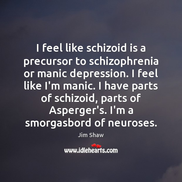 I feel like schizoid is a precursor to schizophrenia or manic depression. Jim Shaw Picture Quote