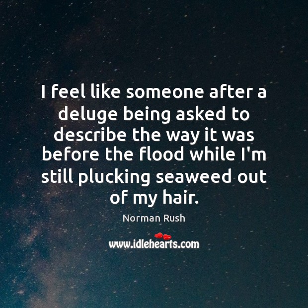 I feel like someone after a deluge being asked to describe the Image