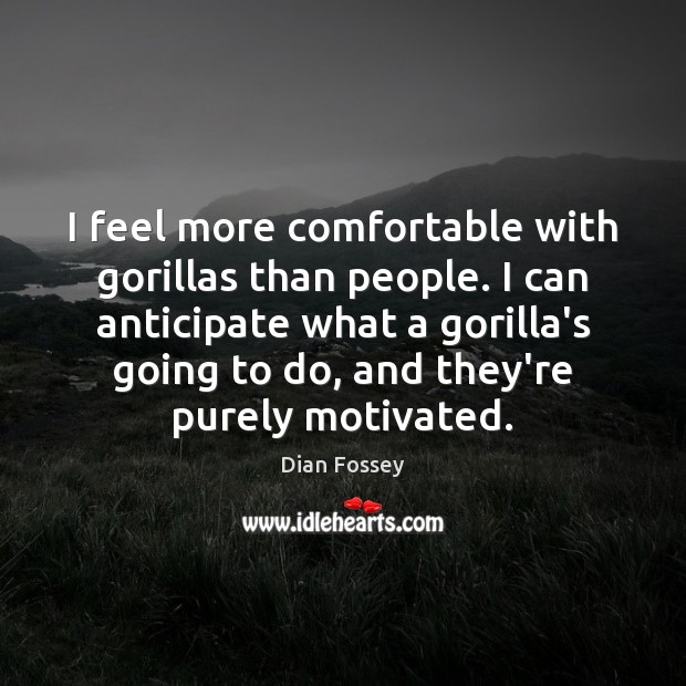 I feel more comfortable with gorillas than people. I can anticipate what Dian Fossey Picture Quote