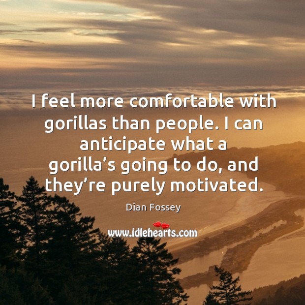 I feel more comfortable with gorillas than people. I can anticipate what a gorilla’s going to do, and they’re purely motivated. Dian Fossey Picture Quote