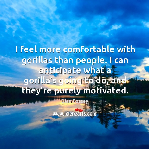 I feel more comfortable with gorillas than people. Dian Fossey Picture Quote