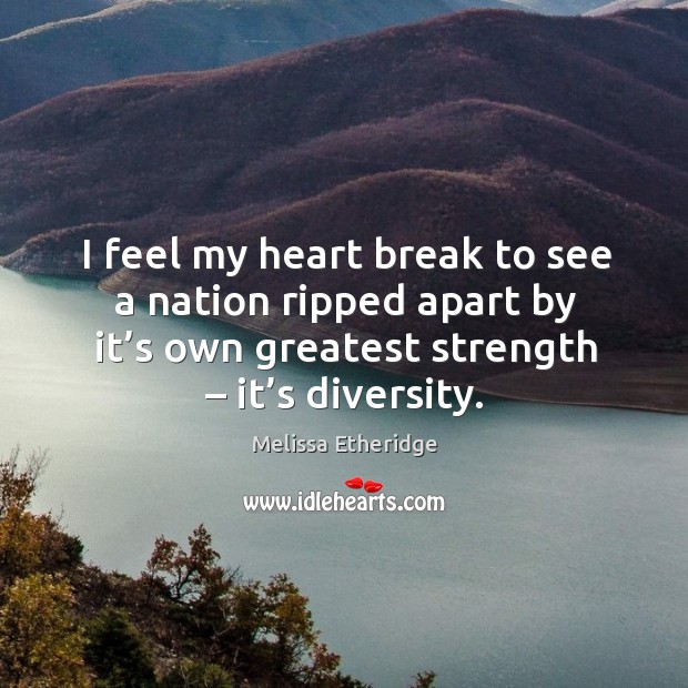 I feel my heart break to see a nation ripped apart by it’s own greatest strength – it’s diversity. Melissa Etheridge Picture Quote