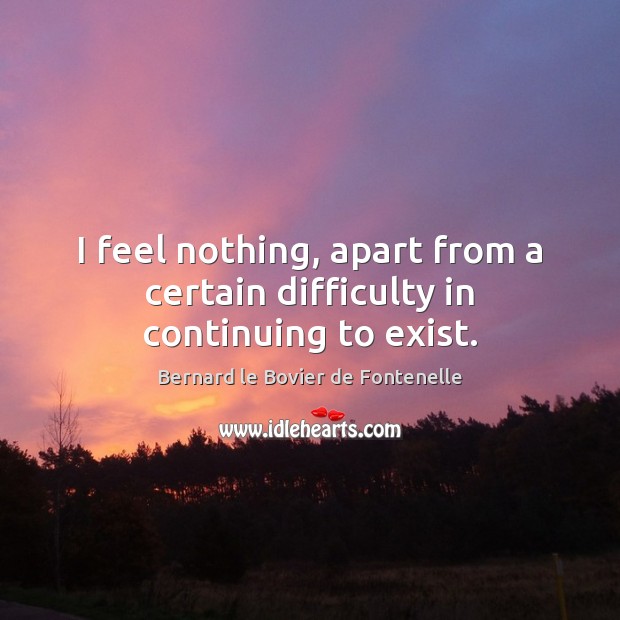 I feel nothing, apart from a certain difficulty in continuing to exist. Image
