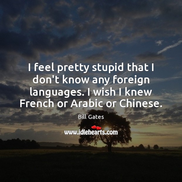 I feel pretty stupid that I don’t know any foreign languages. I Bill Gates Picture Quote