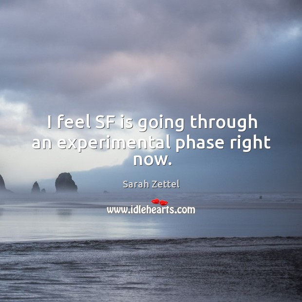 I feel sf is going through an experimental phase right now. Sarah Zettel Picture Quote