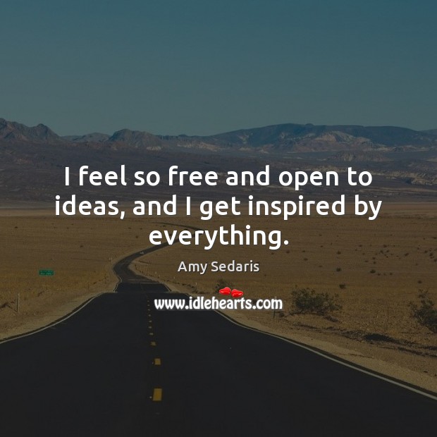 I feel so free and open to ideas, and I get inspired by everything. Amy Sedaris Picture Quote