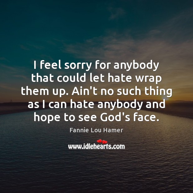 I feel sorry for anybody that could let hate wrap them up. Fannie Lou Hamer Picture Quote