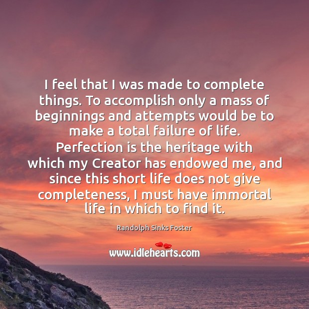 I feel that I was made to complete things. To accomplish only Randolph Sinks Foster Picture Quote