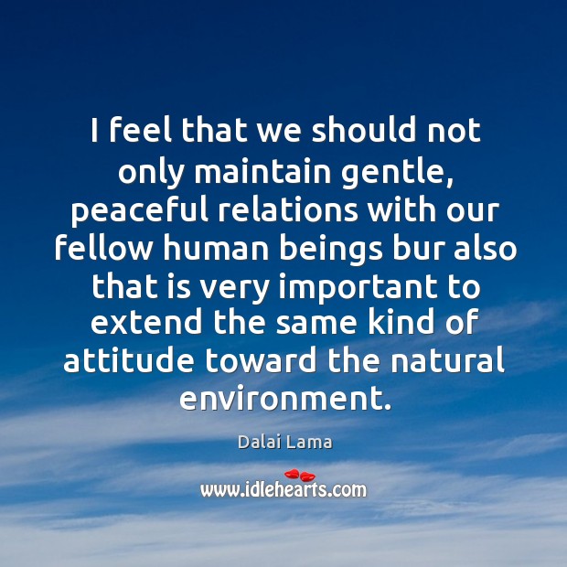 I feel that we should not only maintain gentle, peaceful relations with Dalai Lama Picture Quote
