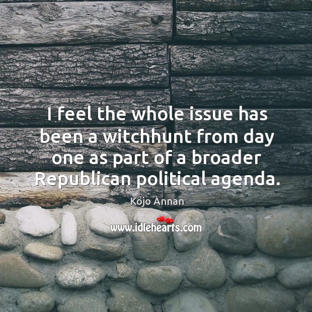 I feel the whole issue has been a witchhunt from day one as part of a broader republican political agenda. Kojo Annan Picture Quote