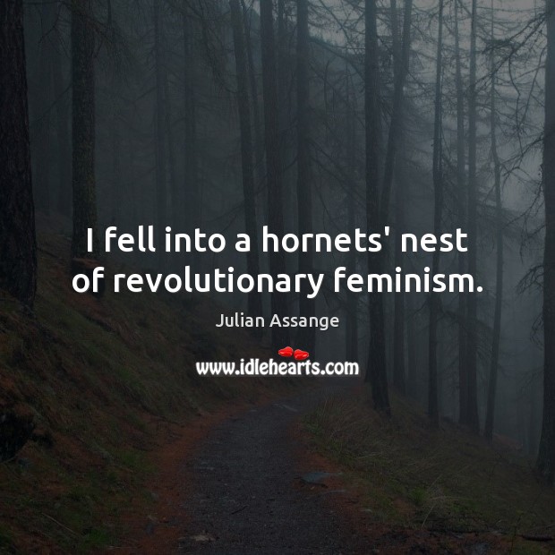 I fell into a hornets’ nest of revolutionary feminism. Julian Assange Picture Quote