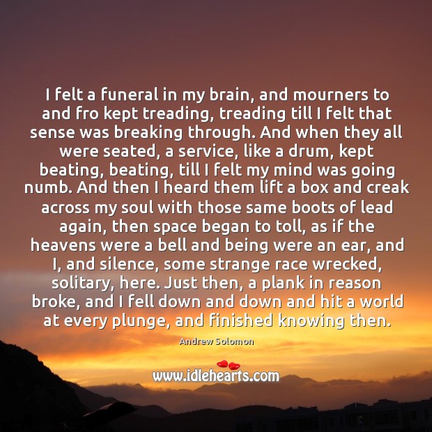 I felt a funeral in my brain, and mourners to and fro Andrew Solomon Picture Quote
