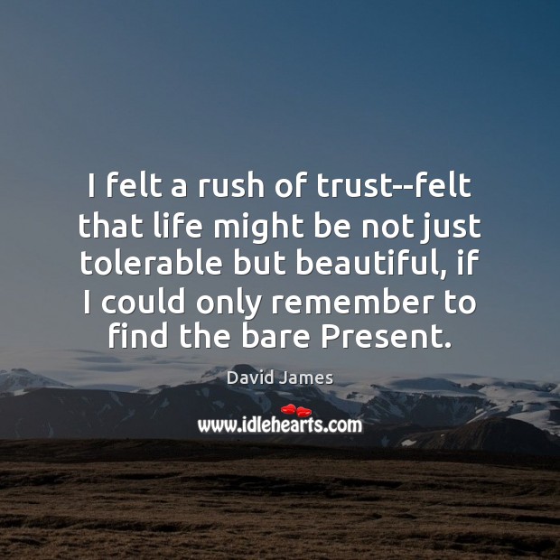 I felt a rush of trust–felt that life might be not just David James Picture Quote