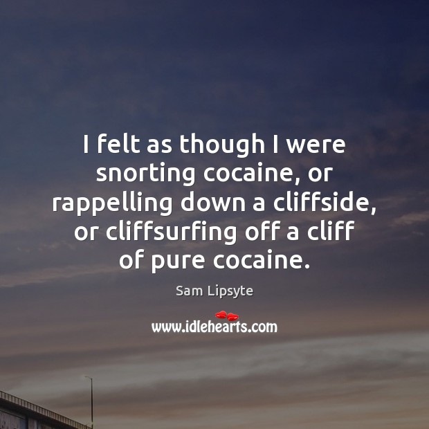I felt as though I were snorting cocaine, or rappelling down a Sam Lipsyte Picture Quote