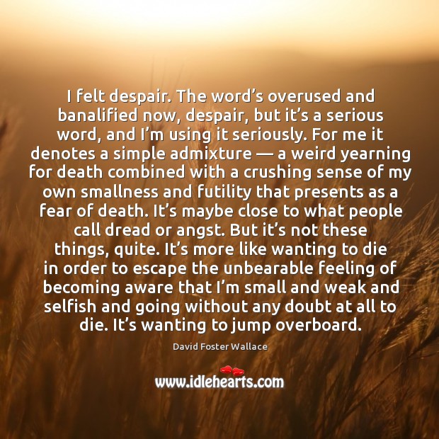 I felt despair. The word’s overused and banalified now, despair, but David Foster Wallace Picture Quote