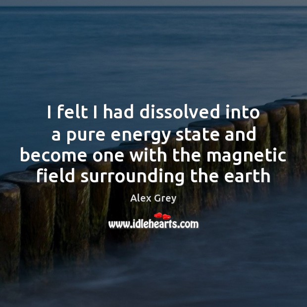I felt I had dissolved into a pure energy state and become Earth Quotes Image