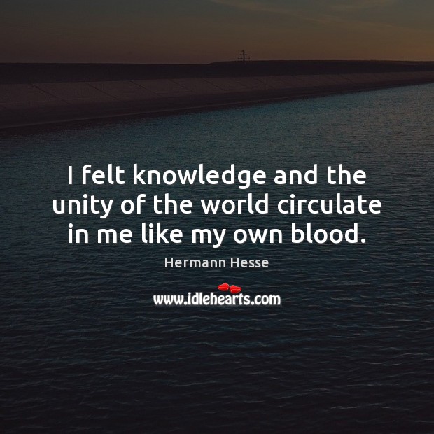 I felt knowledge and the unity of the world circulate in me like my own blood. Hermann Hesse Picture Quote