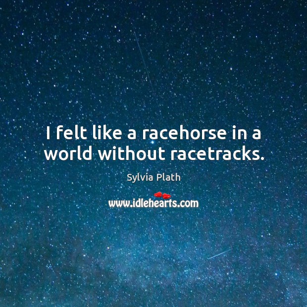 I felt like a racehorse in a world without racetracks. Sylvia Plath Picture Quote