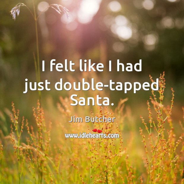 I felt like I had just double-tapped Santa. Jim Butcher Picture Quote