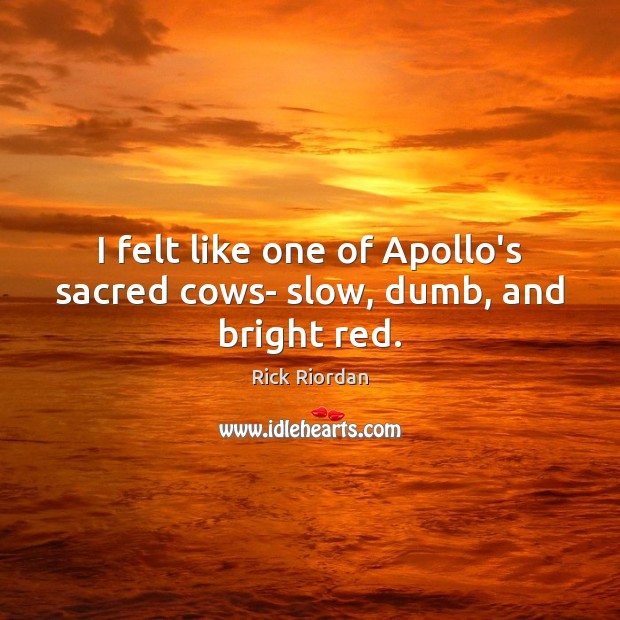 I felt like one of Apollo’s sacred cows- slow, dumb, and bright red. Image