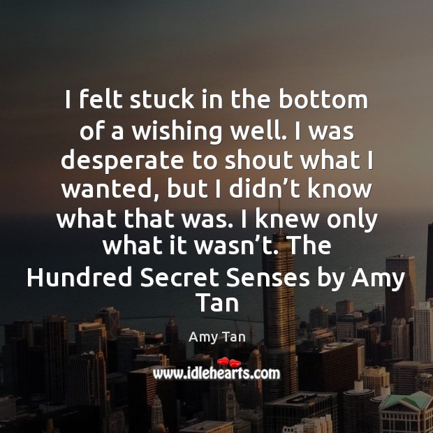 I felt stuck in the bottom of a wishing well. I was Amy Tan Picture Quote