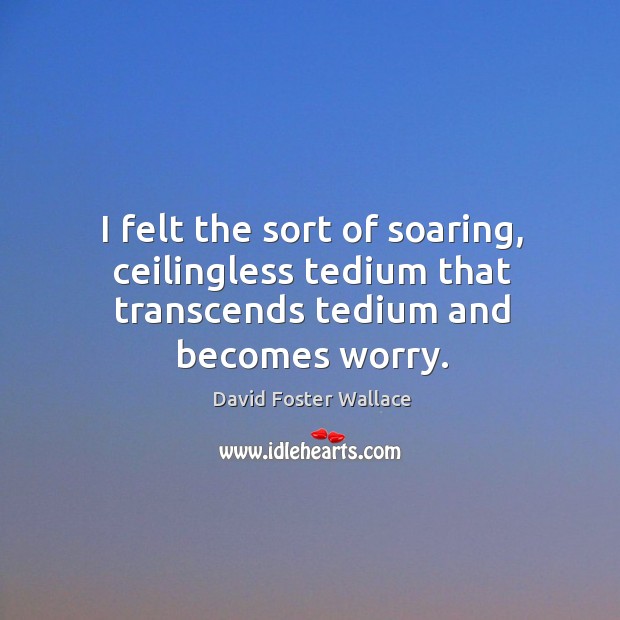 I felt the sort of soaring, ceilingless tedium that transcends tedium and becomes worry. David Foster Wallace Picture Quote
