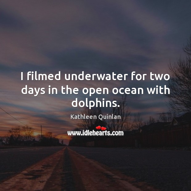 I filmed underwater for two days in the open ocean with dolphins. Kathleen Quinlan Picture Quote