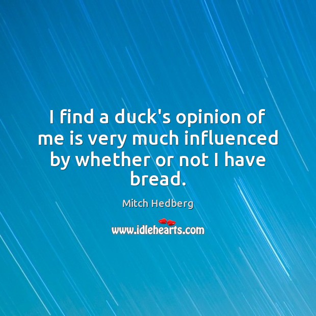 I find a duck’s opinion of me is very much influenced by whether or not I have bread. Mitch Hedberg Picture Quote
