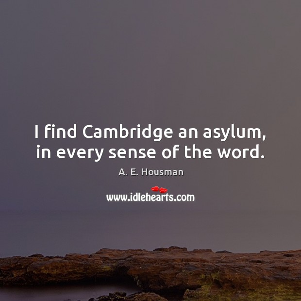 I find Cambridge an asylum, in every sense of the word. A. E. Housman Picture Quote