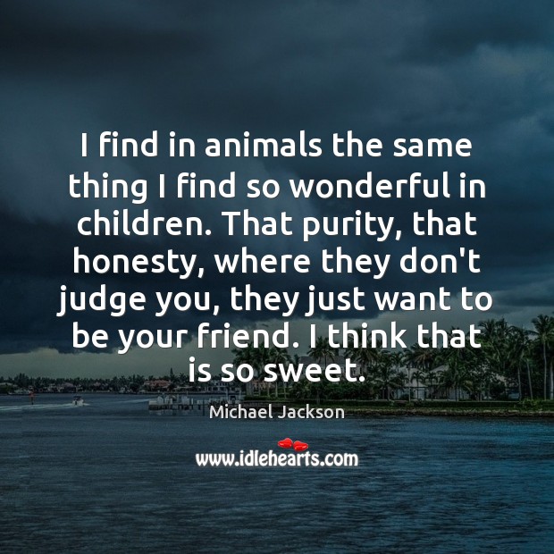 I find in animals the same thing I find so wonderful in Don’t Judge Quotes Image