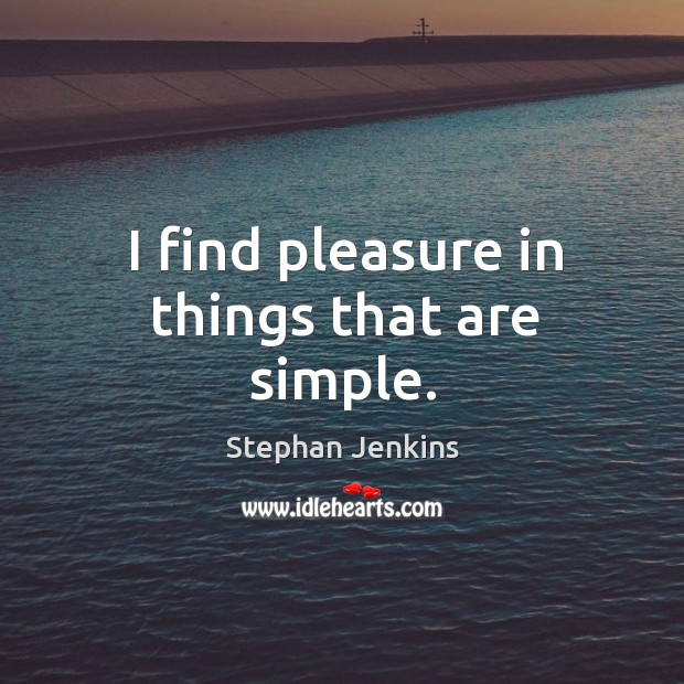 I find pleasure in things that are simple. Stephan Jenkins Picture Quote
