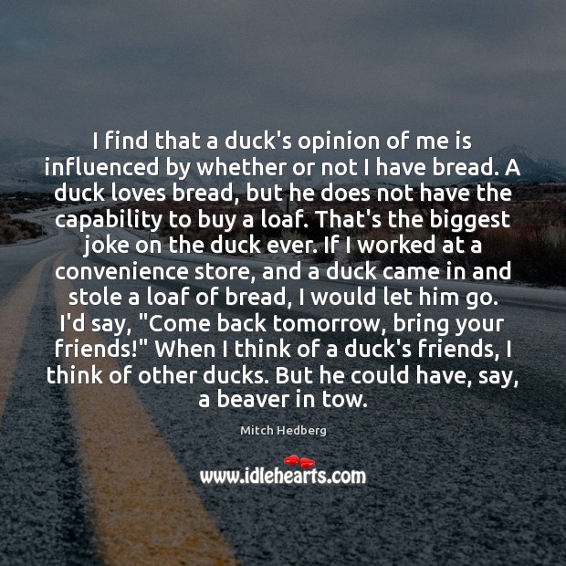I find that a duck’s opinion of me is influenced by whether Mitch Hedberg Picture Quote