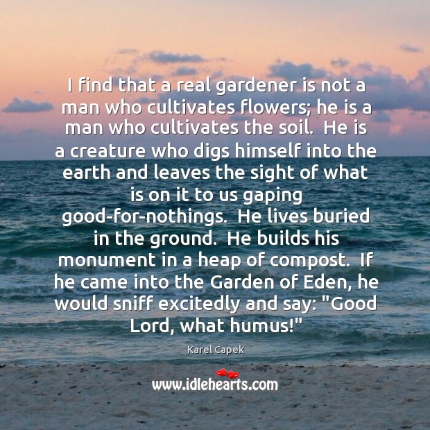 I find that a real gardener is not a man who cultivates Karel Capek Picture Quote