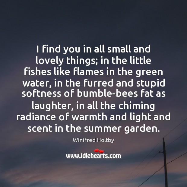 I find you in all small and lovely things; in the little Winifred Holtby Picture Quote
